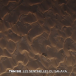 Reportage Feature TF1 4